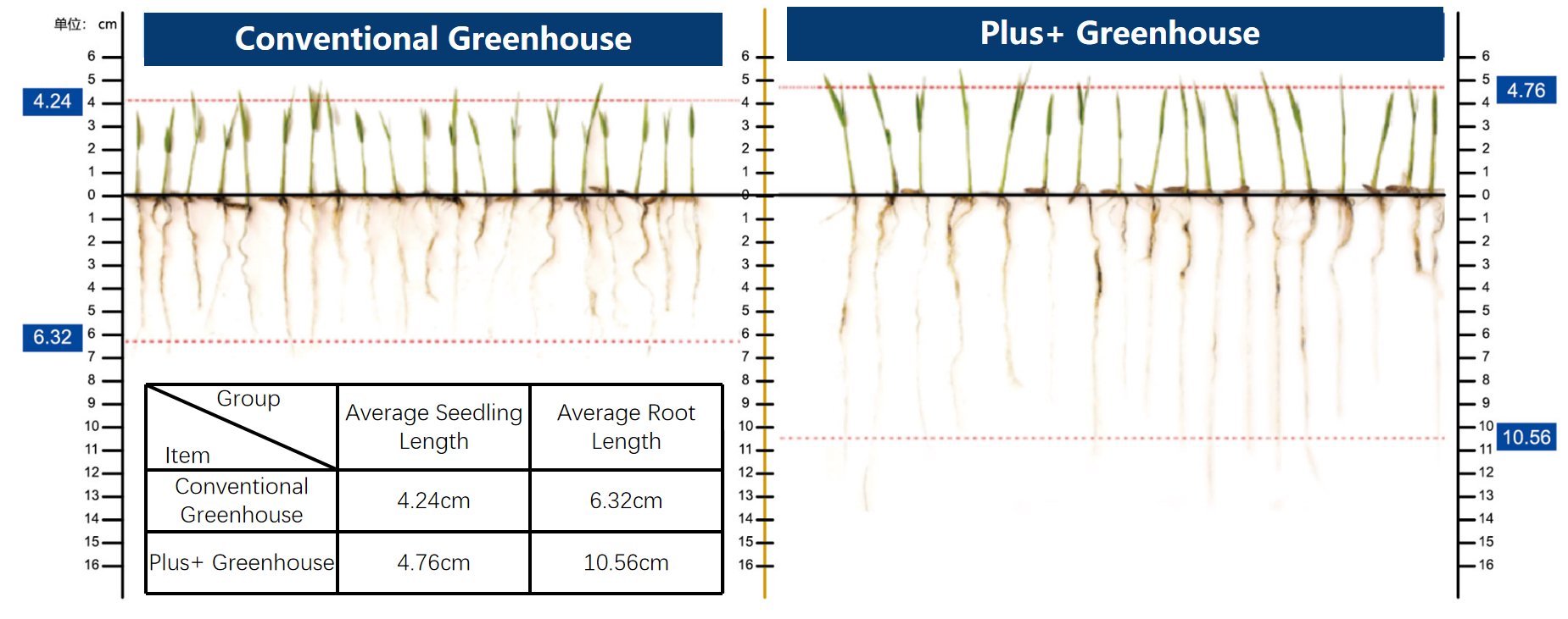 Smart Agriculture Polycarbonate Greenhouse Panels 8