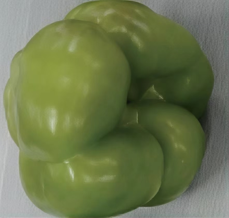 Light-Conversion Greenhouse Film — Field Results 2 Green pepper — light-conversion film