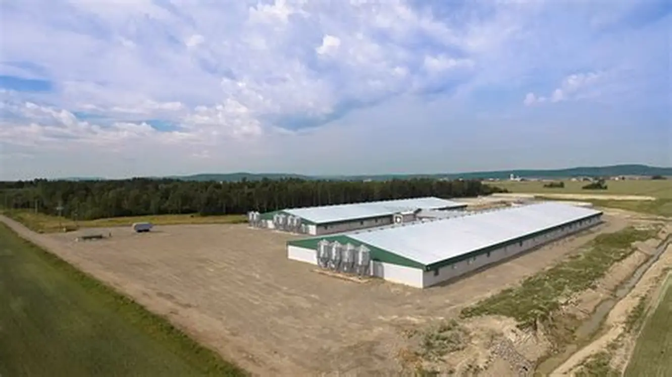 Livestock and poultry housing buildings with large roof areas